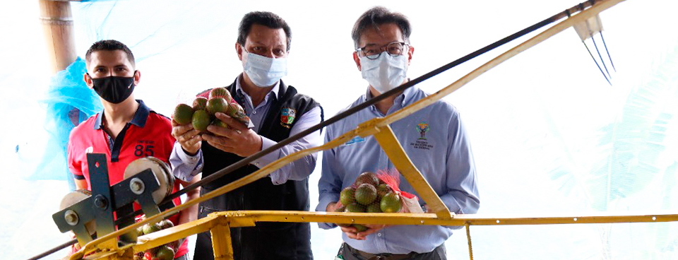 Familias restituidas de Montebello, Antioquia recuperaron sus tierras y se convirtieron en empresarios del campo 