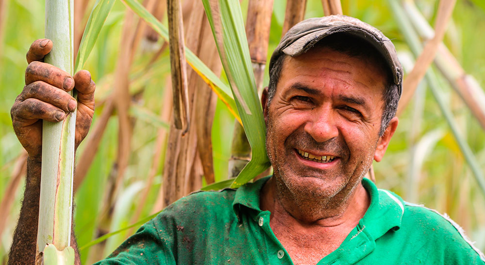 En Antioquia, la Unidad de Restitución De Tierras (URT) liderará la Jornada Integral de Atención Posfallo 