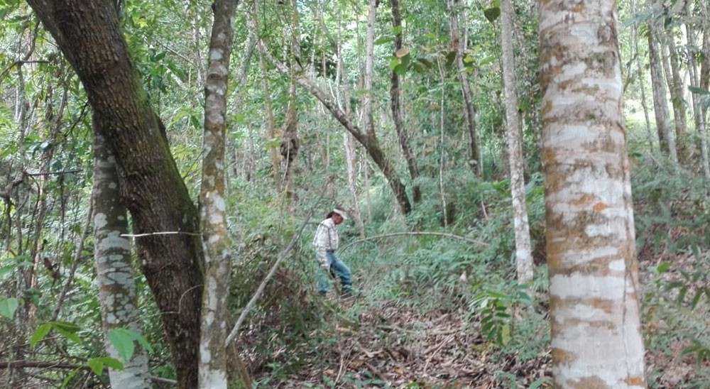 Campesinos víctimas de los paramilitares recuperaron sus tierras en Rionegro, Santander 