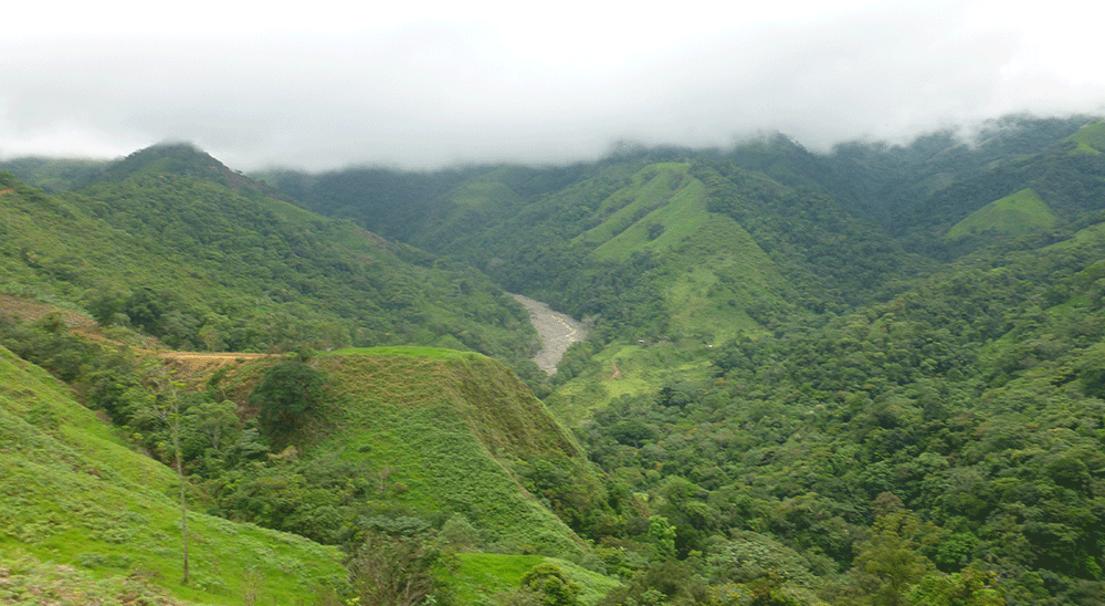 Juez de Villavicencio ordenó restitución por equivalencia económica a familia víctima de desplazamiento en El Calvario (Meta) 