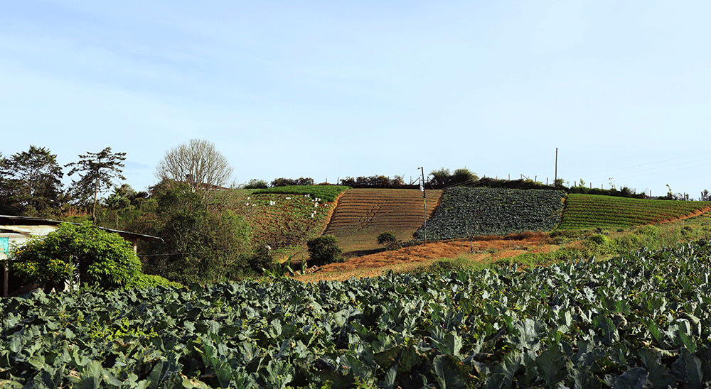A ocho años de la Ley de Víctimas y Restitución de Tierras, el Gobierno Nacional le apuesta a un campo de emprendedores 