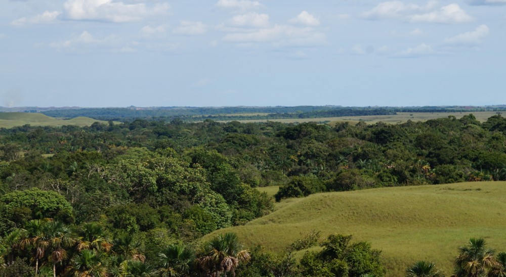 En Puerto Guzmán, Puerto Asís y Valle del Guamuez, la Unidad de Restitución de Tierras cerrará microzonas