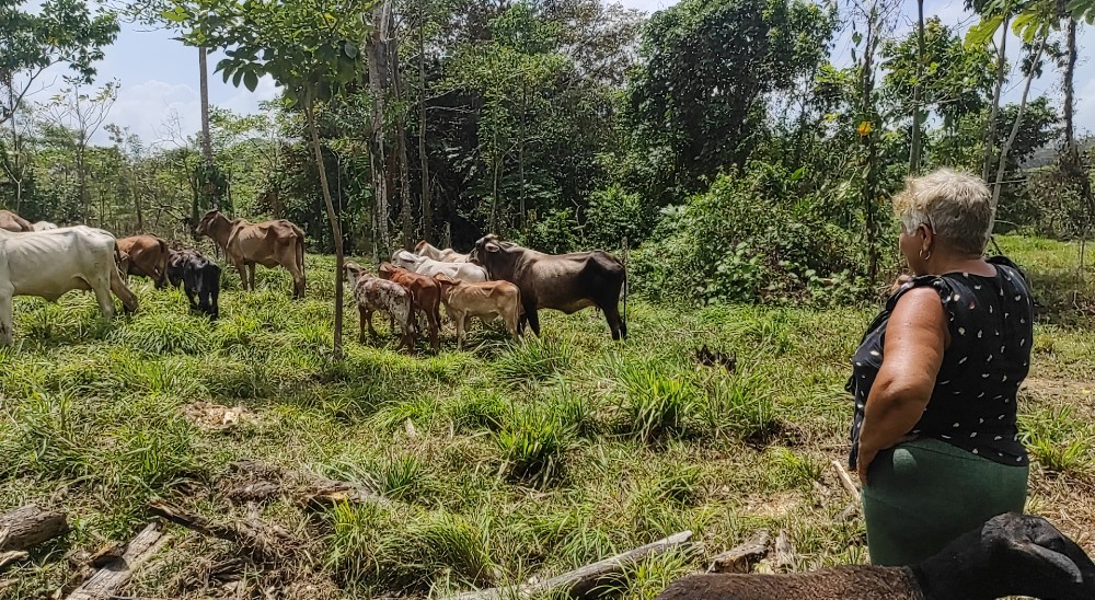 Fanny, ejemplo genuino de una feliz trasformación de vida por la restitución de tierras en Urabá 