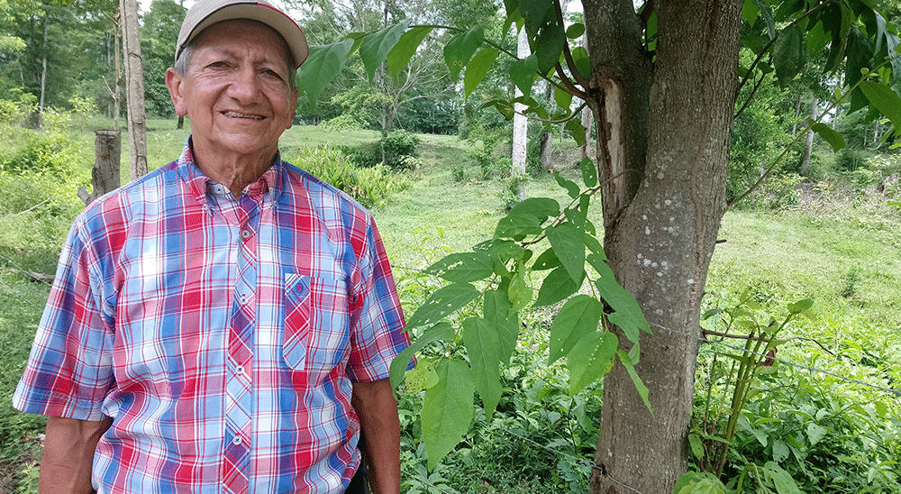 Familia víctima de la violencia recuperó las tierras que abandonó, en Rionegro (Santander) 