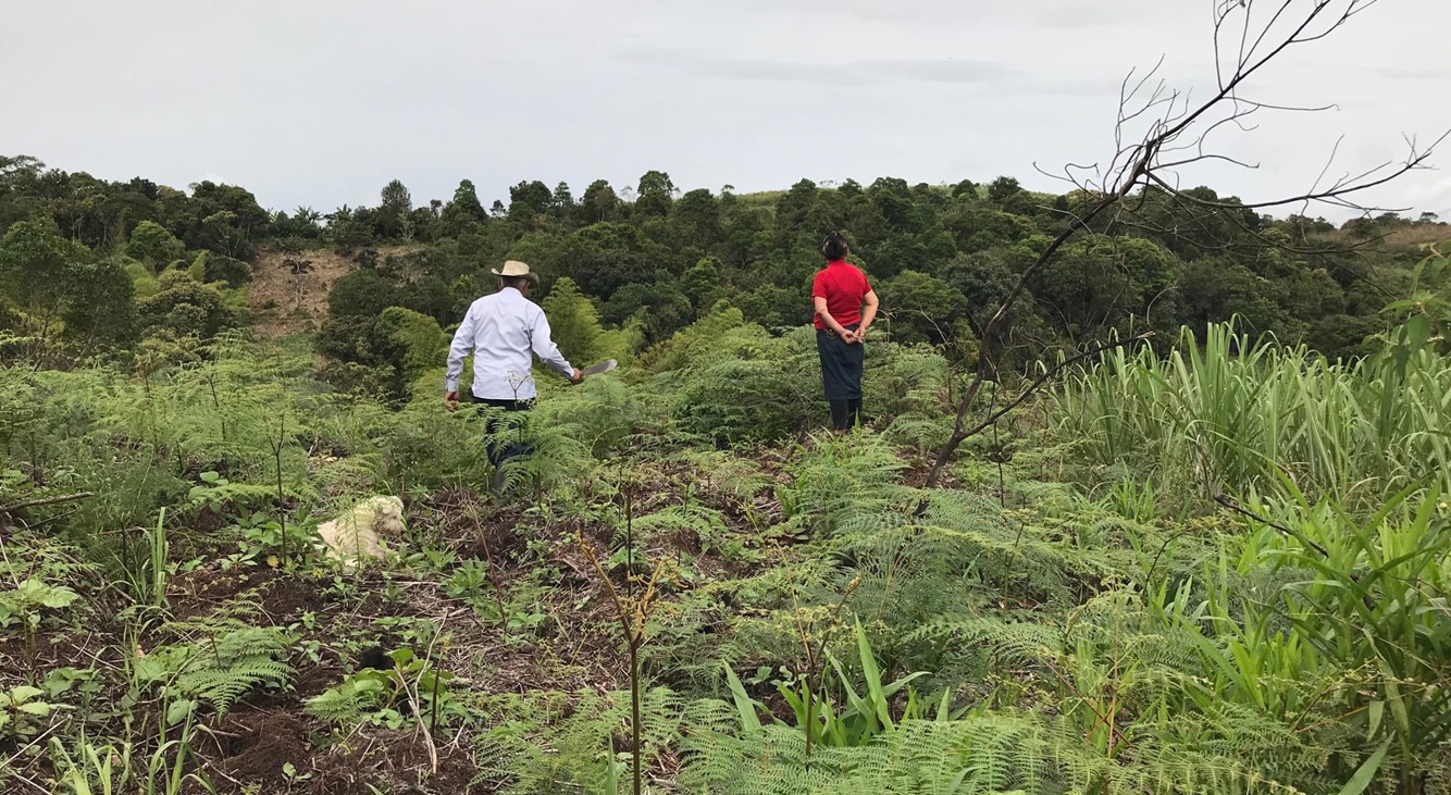 En 2020, la Unidad de Restitución de Tierras (URT) ampliará la cobertura de las demandas electrónicas