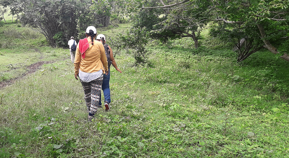 URT iniciará labores en veredas de Zaragoza, El Bagre y Tarazá, en el Bajo Cauca Antioqueño 