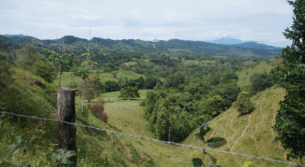  nullDos familias de Rionegro (Santander), víctimas de los paramilitares, recuperaron tierras perdidas a causa de la violencia