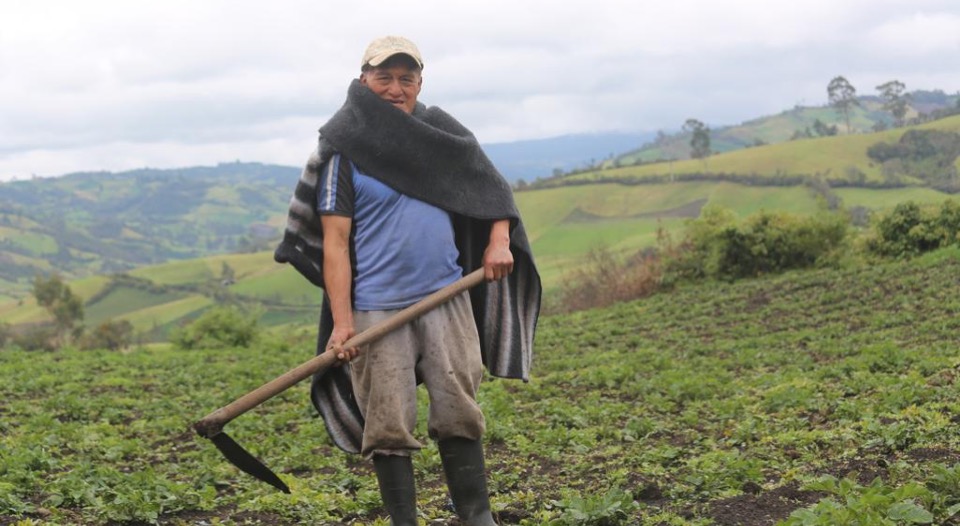 Gracias a la restitución de tierras Alfredo Villota, campesino nariñense, se ha convertido en un empresario del campo 
