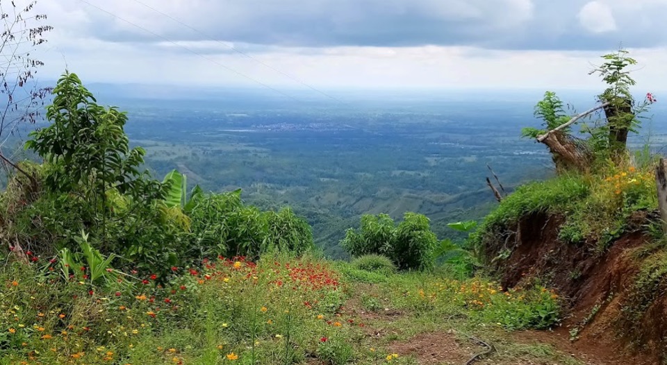 Víctima que perdió su casa por la violencia la podrá recuperar gracias a la gestión de la Unidad de Restitución de Tierras 