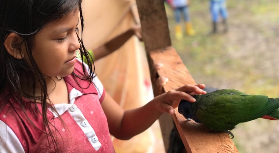 En Putumayo 32 comunidades étnicas trabajan con la Unidad de Restitución de Tierras para restablecer sus derechos territoriales 