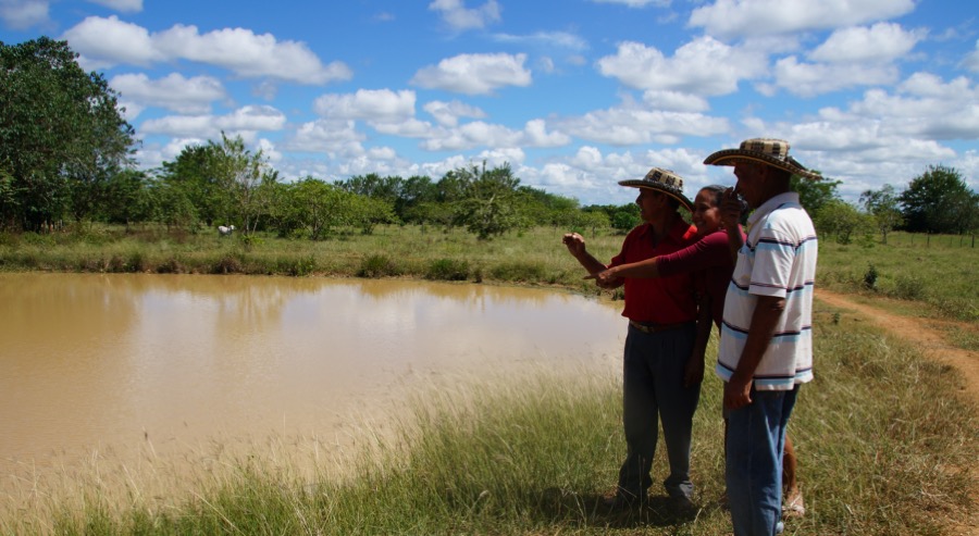 Unidad de Restitución de Tierras compensará 200 hectáreas a víctimas del exjefe paramilitar Salvatore Mancuso 