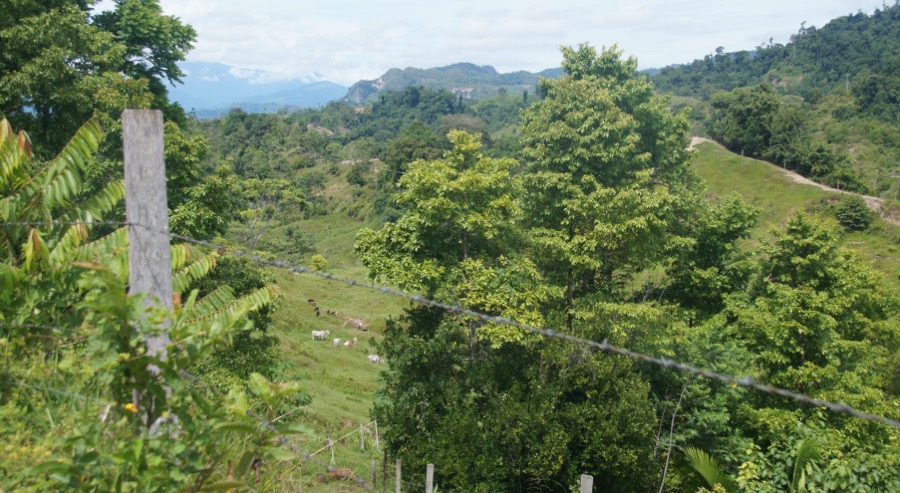 En Santander, una familia retornará a las tierras que perdió a causa de la violencia gracias a proceso de restitución 