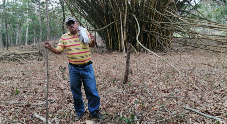 Unidad de Restitución de Tierras continúa otorgando beneficios económicos para el crecimiento de proyectos productivos 
