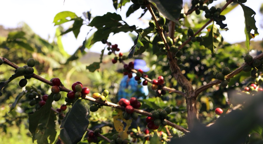 Unidad de Restitución y Gobernación de Cundinamarca trabajan para cumplir el 100% de órdenes a favor de las víctimas 