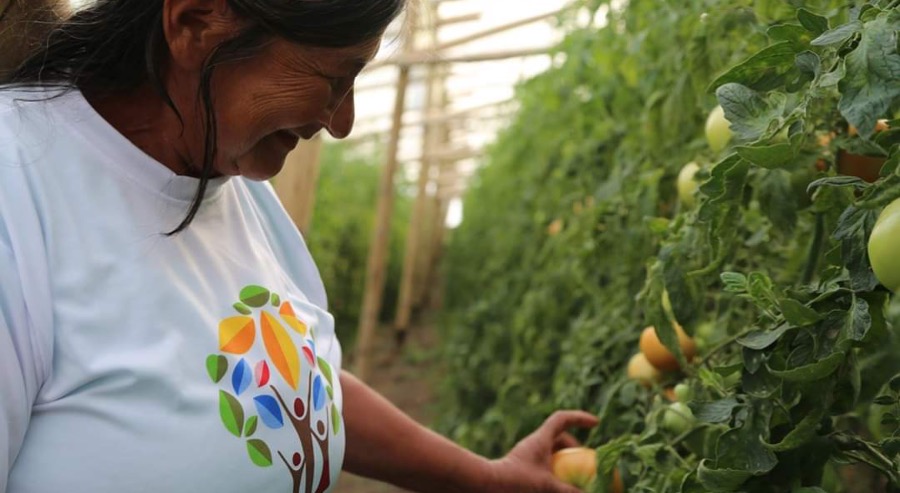 Gobernación de Nariño destinó $1.200 millones para apoyar proyectos productivos de familias restituidas 