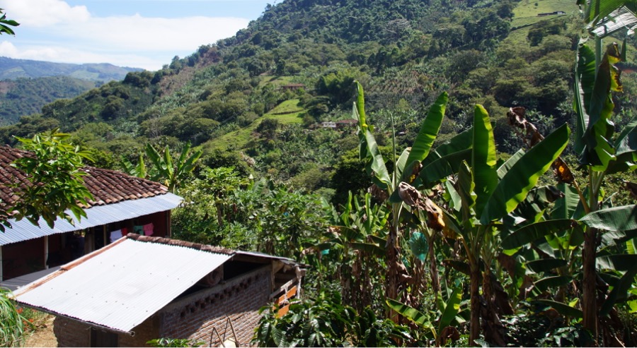 Unidad de Restitución de Tierras en Caquetá presentó avances frente a compromisos PDET 