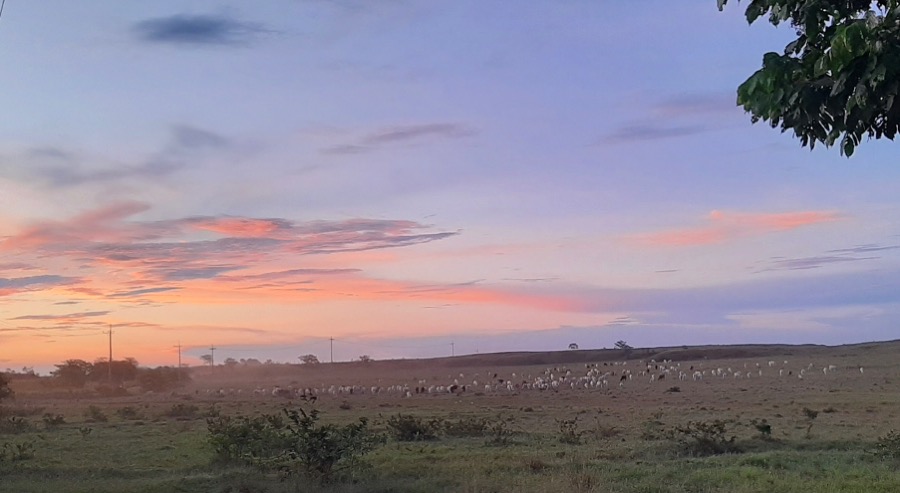 Mujeres víctima de la violencia paramilitar en Puerto López, Meta recibirán nuevo predio en compensación 