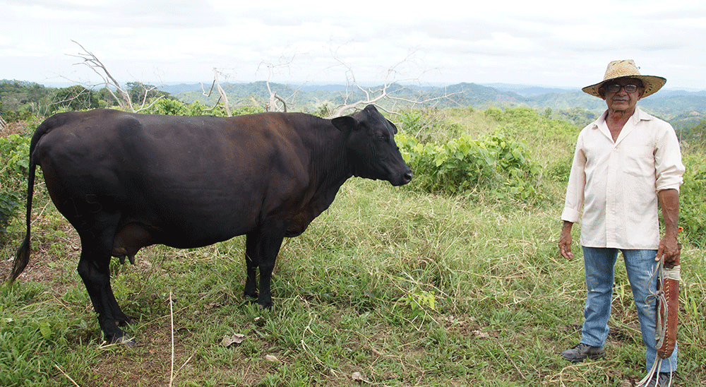 Con el apoyo de la URT, familias restituidas de Chengue trabajan para convertirse en empresarios del campo 