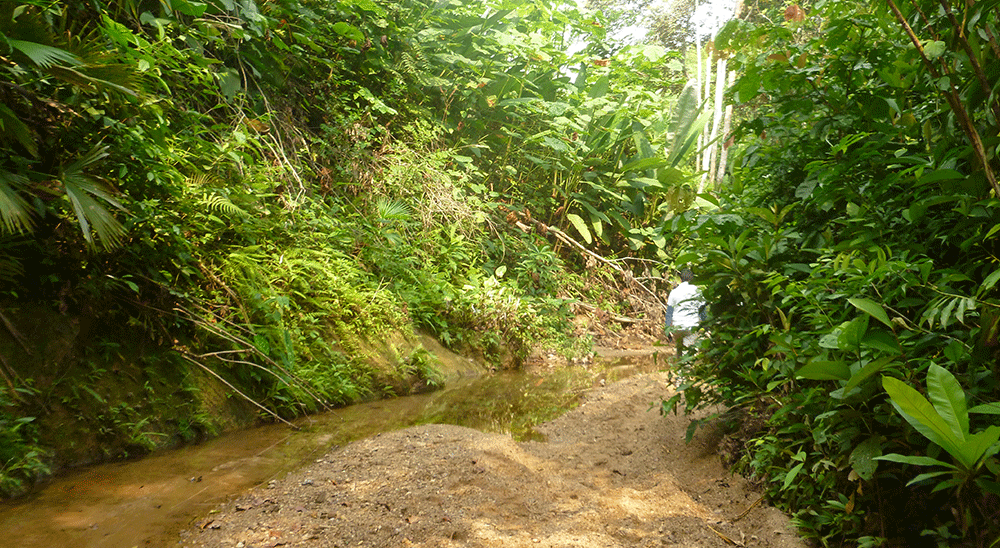 Ocho hermanos serán compensados por la Unidad de Restitución de Tierras (URT) en Santander 