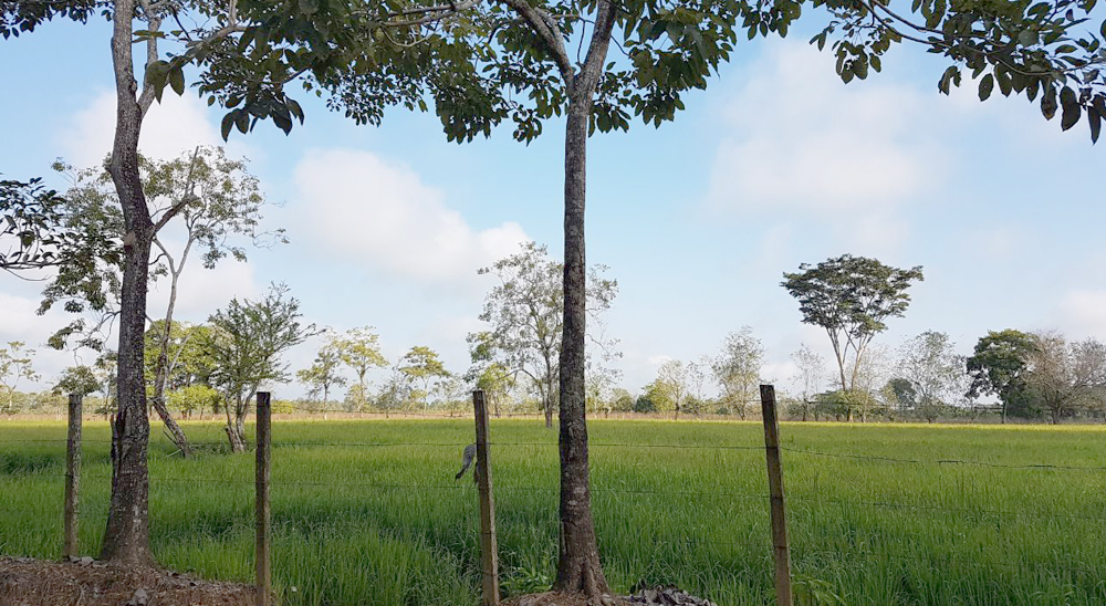 URT proyecta cierre de zonas en el casco urbano de Acacías, Meta
