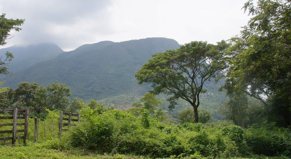 En Putumayo, la URT inicia cierre de zonas de atención en municipios de Orito y Mocoa