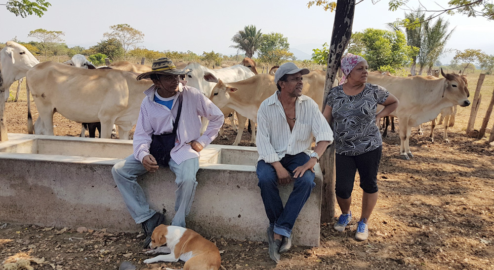 La restitución unió a una familia víctima de los paramilitares, en Cesar