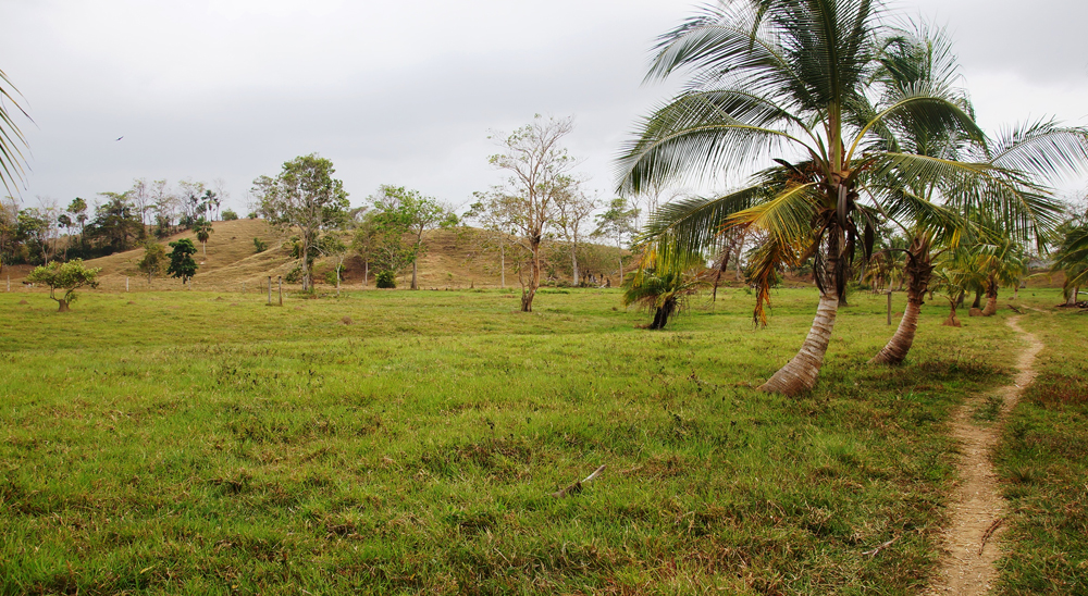 URT inició cierre de cuatro microzonas en tres municipios de Urabá