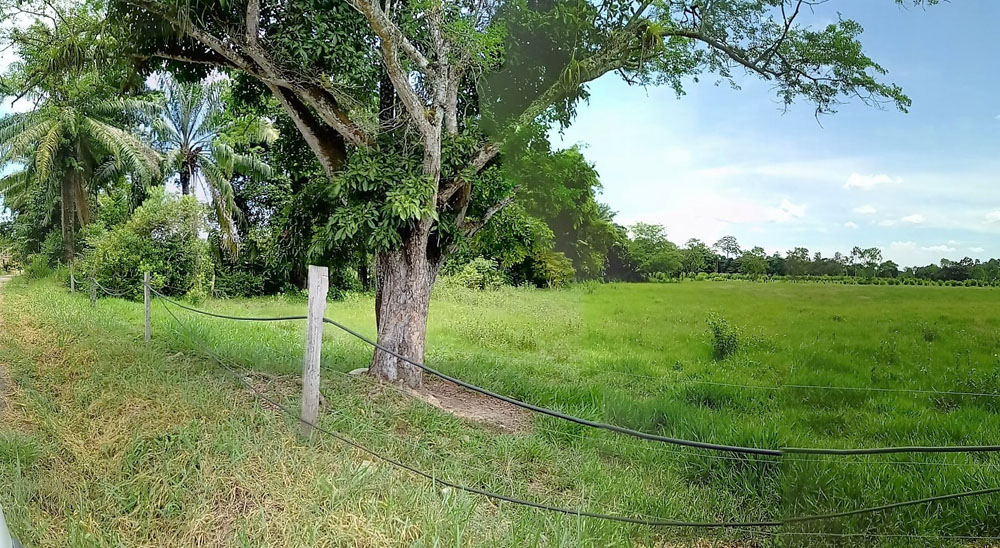 Cierre de microzonas en Betulia, Santander