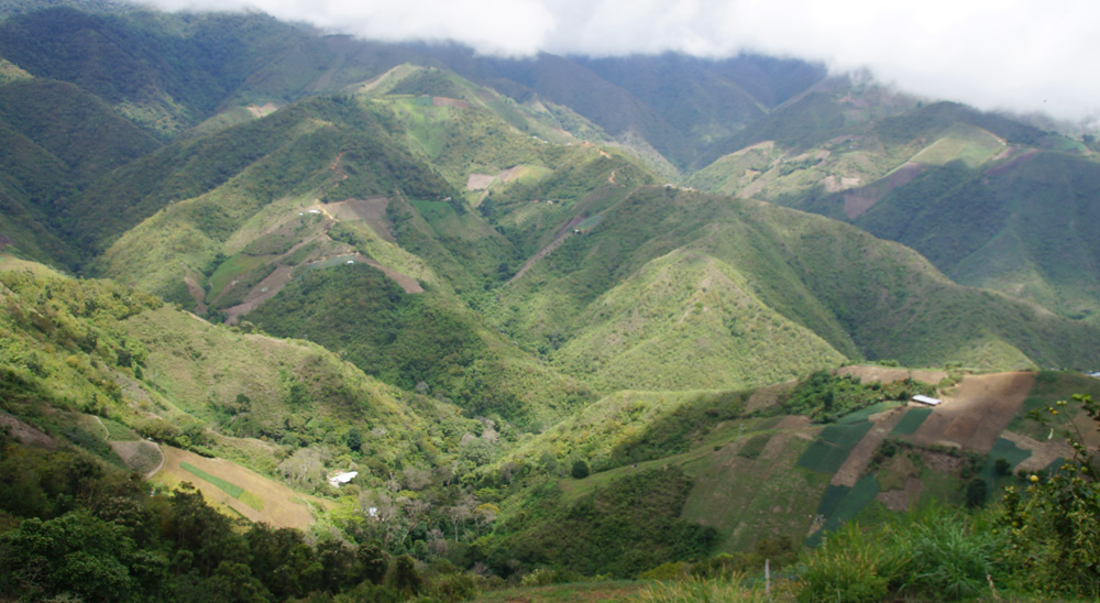 La URT inicia cierre de microzona en el corregimiento Buenavista, municipio de Ocaña. 