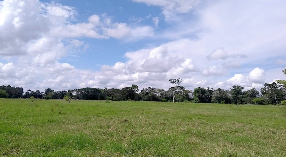 URT continúa con cierre de microzonas en el Magdalena Medio