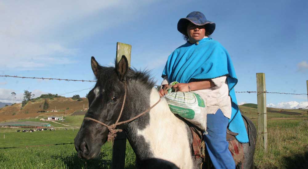 URT presentó demanda para beneficiar a 5 familias de Arbeláez, Cundinamarca, víctimas de las Farc
