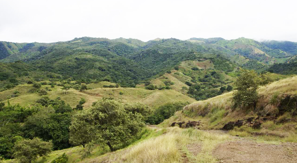 Unidad de Restitución de Tierras está trabajando en el municipio de Baraya, Huila