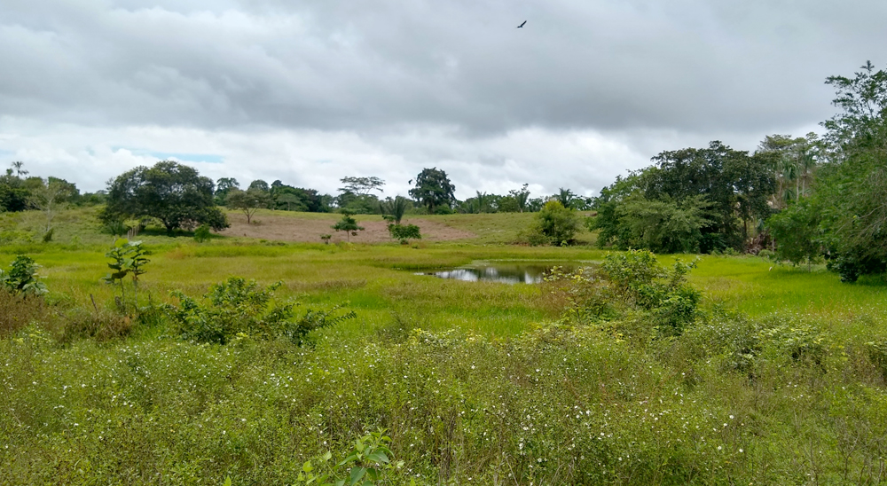 URT hará nuevos cierres de microzonas en Sucre