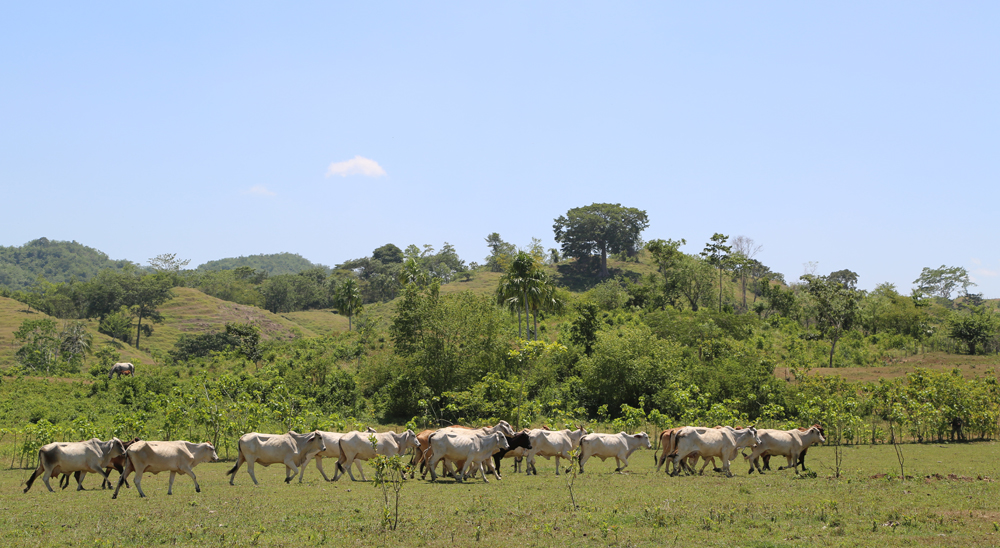 URT proyecta cierre de zonas en San Martín, Meta