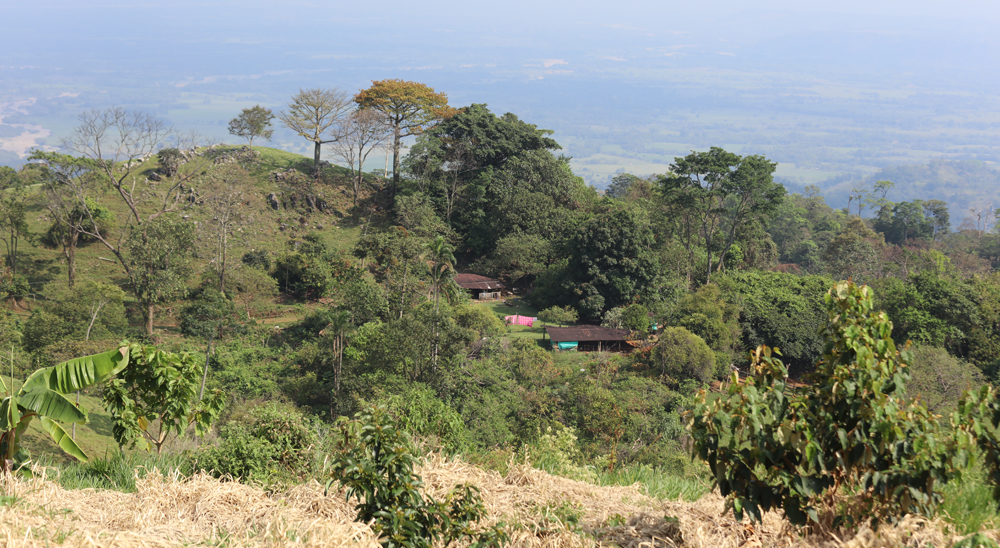 URT proyecta cierre de zonas en varias veredas de Puerto Lleras, Meta