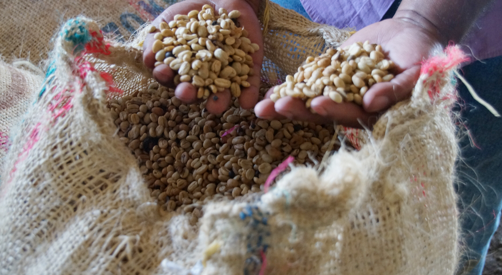 Así va la restitución de tierras en Cauca