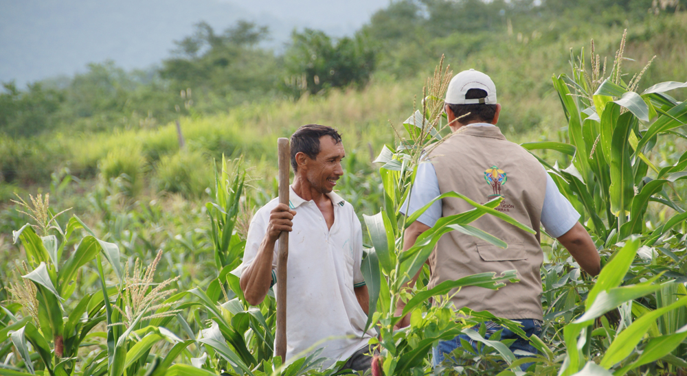 URT anuncia barrido de solicitudes, radicadas en el departamento de Risaralda