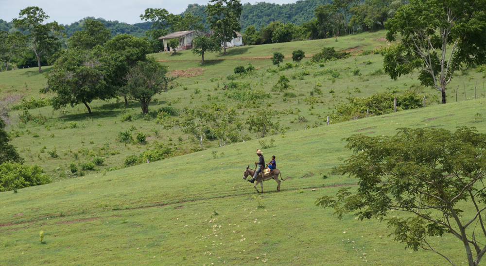 URT proyecta barrido total de solicitudes en varias veredas de Guamal, en Meta