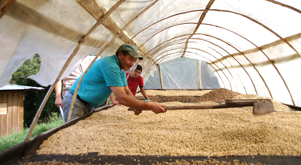 Unidad de Restitución de Tierras anuncia barrido total de las solicitudes radicadas en el Valle del Cauca
