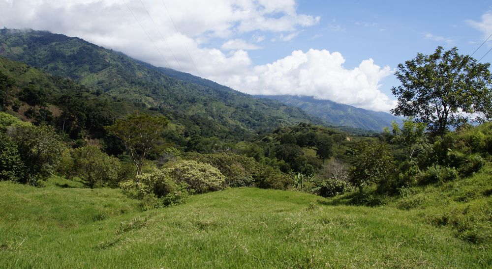 Familia víctima de las Farc en Tolima, que abandonó sus tierras, fue compensada