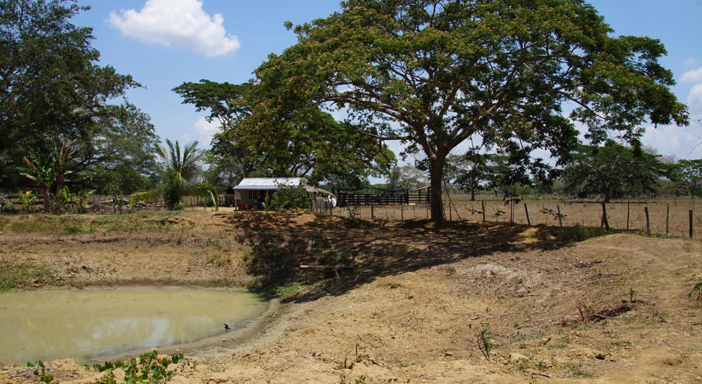 La URT continúa barrido total de solicitudes en tres municipios del departamento de Córdoba