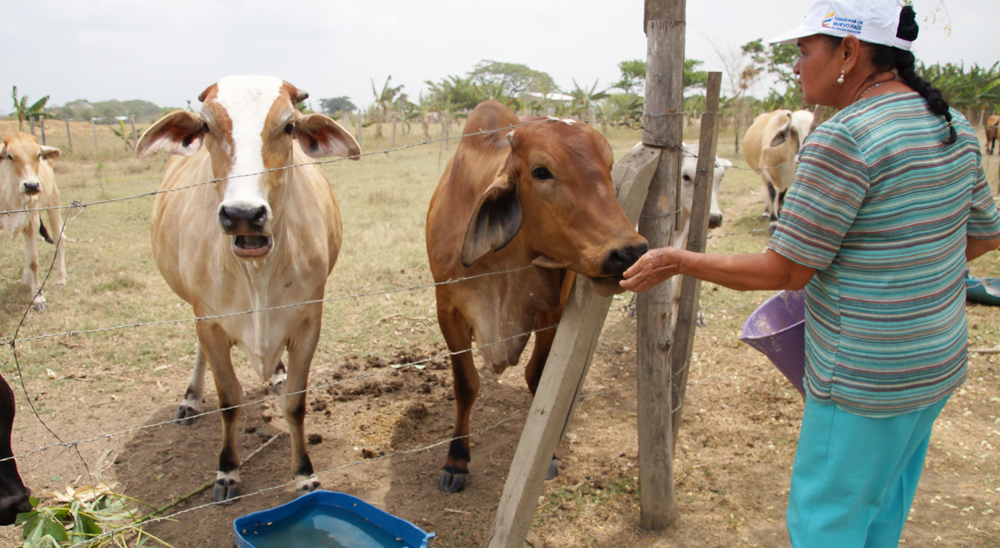 URT rechaza desinformación generada por la Fundación Forjando Futuros, frente al trabajo de restitución de tierras