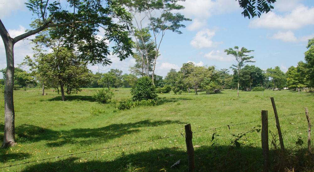 En Caquetá, primeras demandas de restitución de tierras permitirán devolver más de 1600 hectáreas