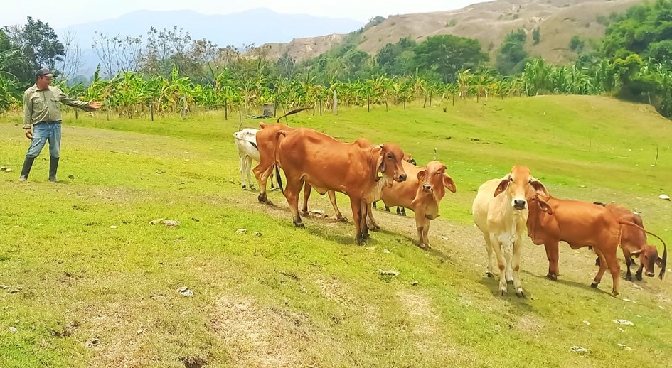 Beneficiario de Ábrego, Norte de Santander, logra energía eléctrica a través de paneles solares entregados por la URT