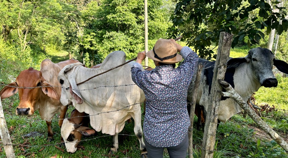 Tras años de espera, la justicia llega a la familia Muñoz con la restitución de su hogar en San Alberto, Cesar