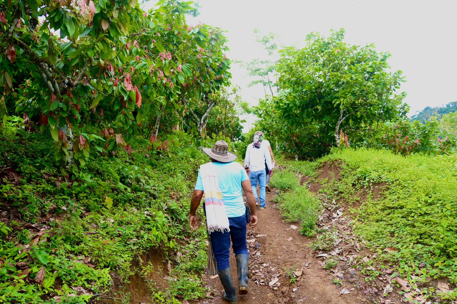 La Dirección Jurídica de la entidad inscribió estas tierras en el Registro Único de Protección de Predios Abandonados (RUPTA). Las medidas tienen el fin de garantizar la permanencia de estas familias en el territorio.