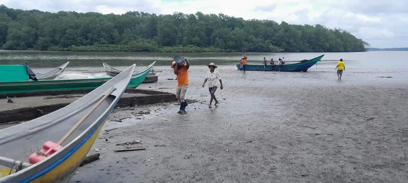 La acción busca restituir más de 6,900 hectáreas a esta comunidad afrodescendiente de Timbiquí, afectada por el conflicto armado, la minería ilegal y el deterioro ambiental. 
