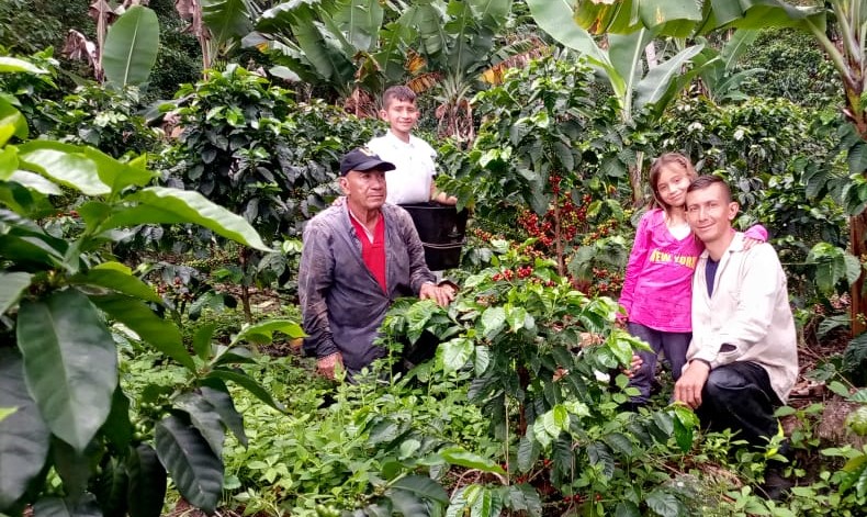 Con la llegada de paramilitares a su vereda, la familia Galvis sufrió la pérdida de varios de sus integrantes, lo que los llevó a huir para salvar sus vidas. Décadas después, han logrado la reparación integral del Estado.