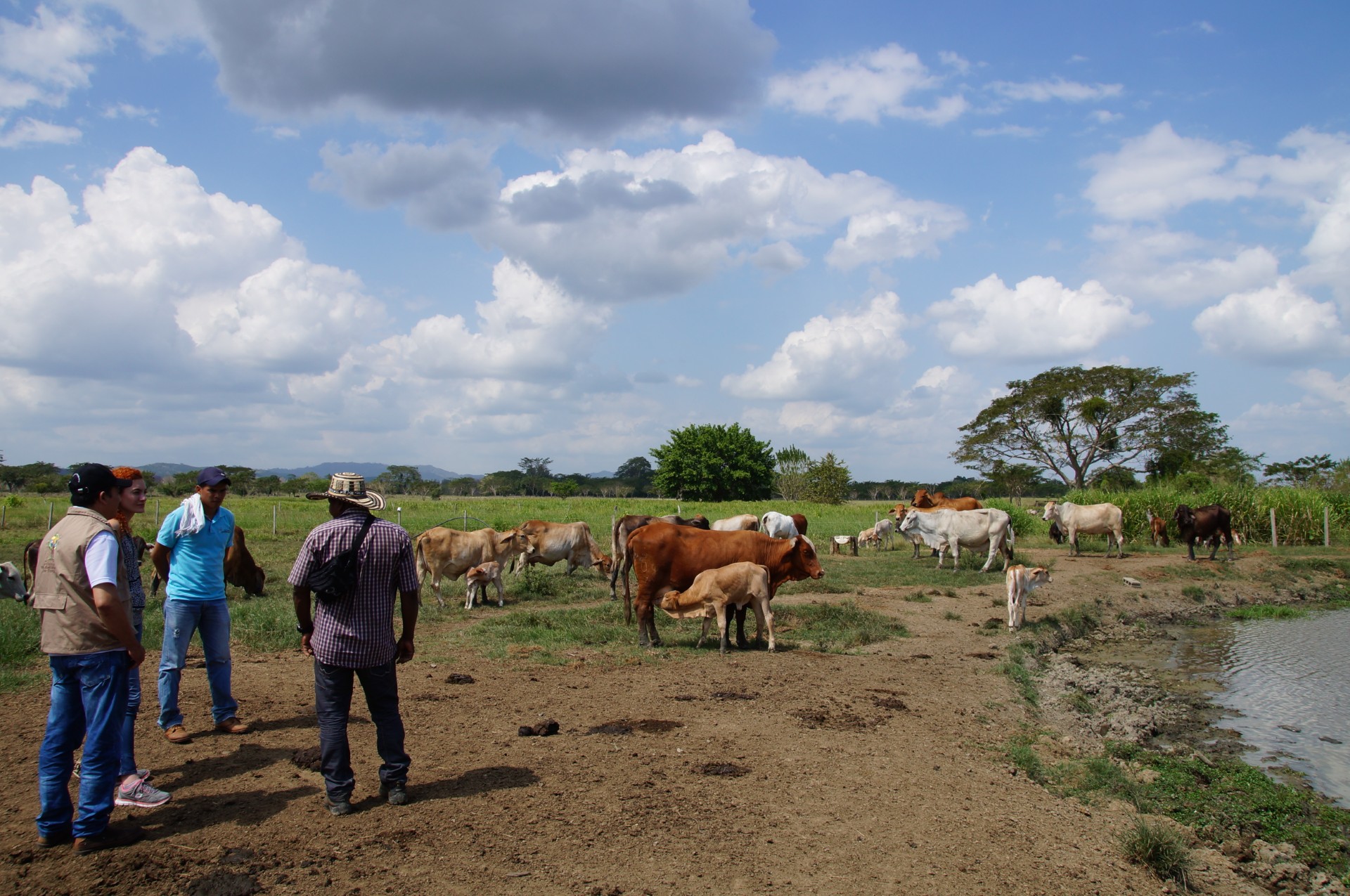 Gracias a la labor articulada entre la Dirección Territorial Córdoba de la Unidad de Restitución de Tierras (URT), la Fuerza Pública, la Procuraduría y organizaciones sociales, comunitarias, étnicas y campesinas, se llevarán a cabo nuevas intervenciones en estos municipios.