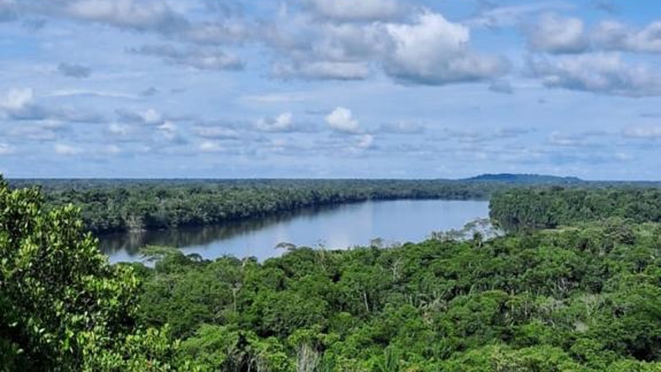 Siendo la primera sentencia de este tipo para el municipio, representa un hito, por tratarse de una familia que abandonó su predio urbano tras la toma perpetrada por las Farc en noviembre de 1998, un hecho que dejó una marca imborrable para la población.